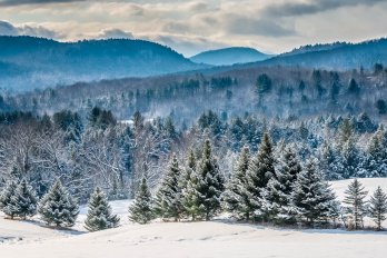 Snowy Vermont mountains with spruce trees in foreground.