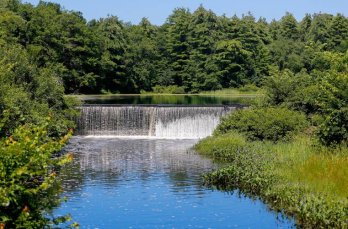 Granby’s Forge Pond Dam and Dike, seen on a recent July afternoon, has been identified as being in “poor" condition - Daily Hamp