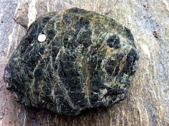 Photo of boulder of Serpentinite from French Alps.  photo by Gabriel HM