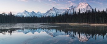 Jagged, snowcovered Alaskan mountains and boreal forest reflected in still waters of lake in foreground.