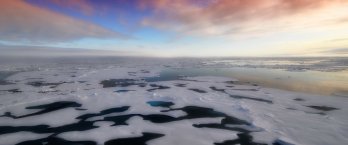 Floating  snow-covered ice sheets on calm sea, with ponds of meltwater, at dawn or dusk.