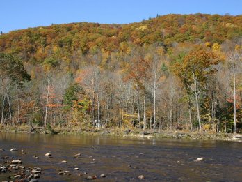 Autumn scene of wooded hills just past peak color, with tannin-colored Deerfield River in foreground.